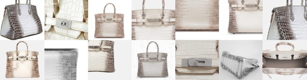 ヒマラヤ バーキン ― 幻のバーキンと称される究極の逸品